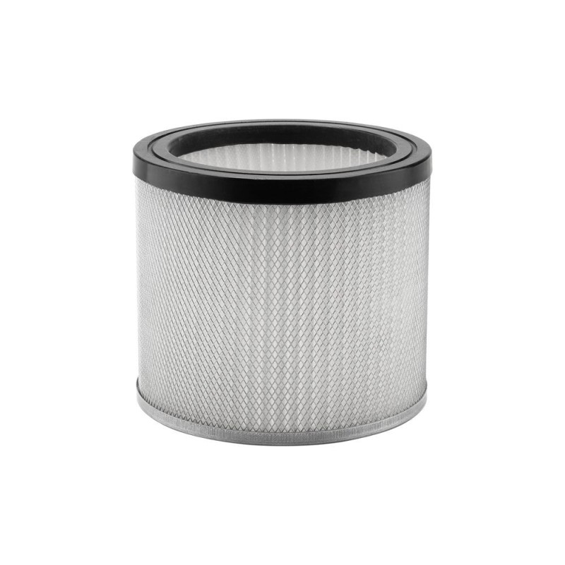 Filtre HEPA per a aspirador de cendres Dixneuf - Ref. 042.AAC7.F