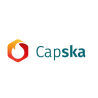 CAPSKA - cristal para estufa de leña, insertables y chimeneas a medida