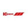 KOPPE - cristal para estufa de leña y cristal para insertable a medida